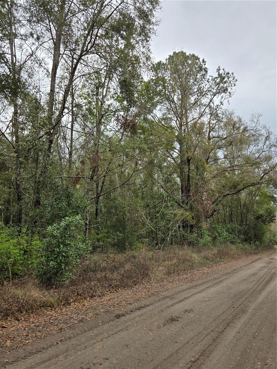 Image 7 of 14 For  243 Drive 