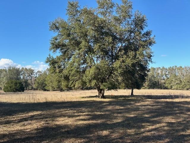 Image 6 of 13 For County Road 236