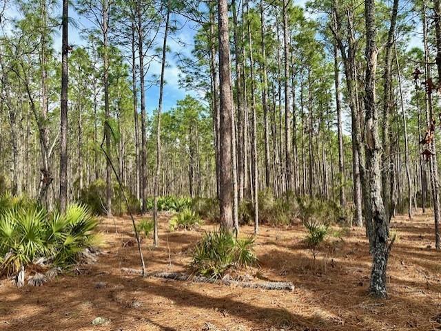 Details for County Road 236, BELL, FL 32619