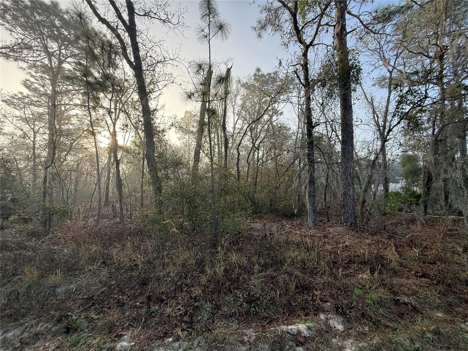 Details for 16009 57th Terrace Road, OCALA, FL 34473
