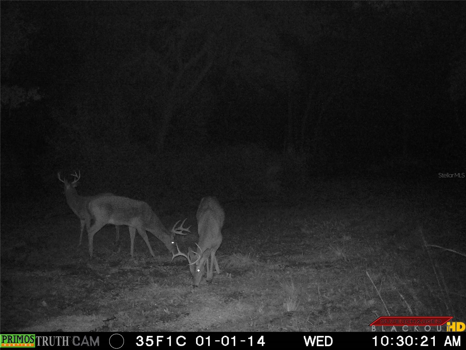 Image 30 of 32 For 1317 Drew Road