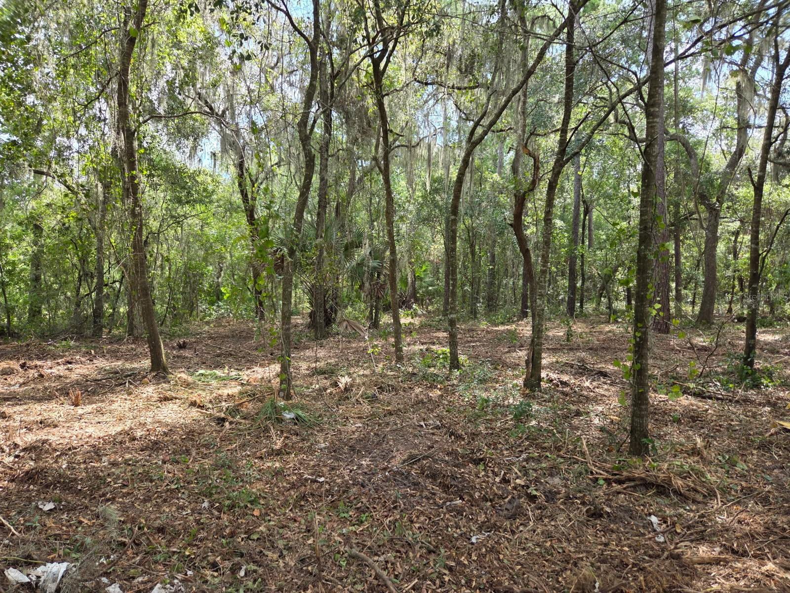 Image 12 of 13 For 8903 225th Drive