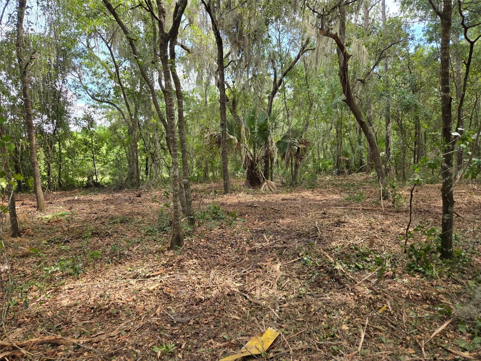 Image 13 of 13 For 8903 225th Drive