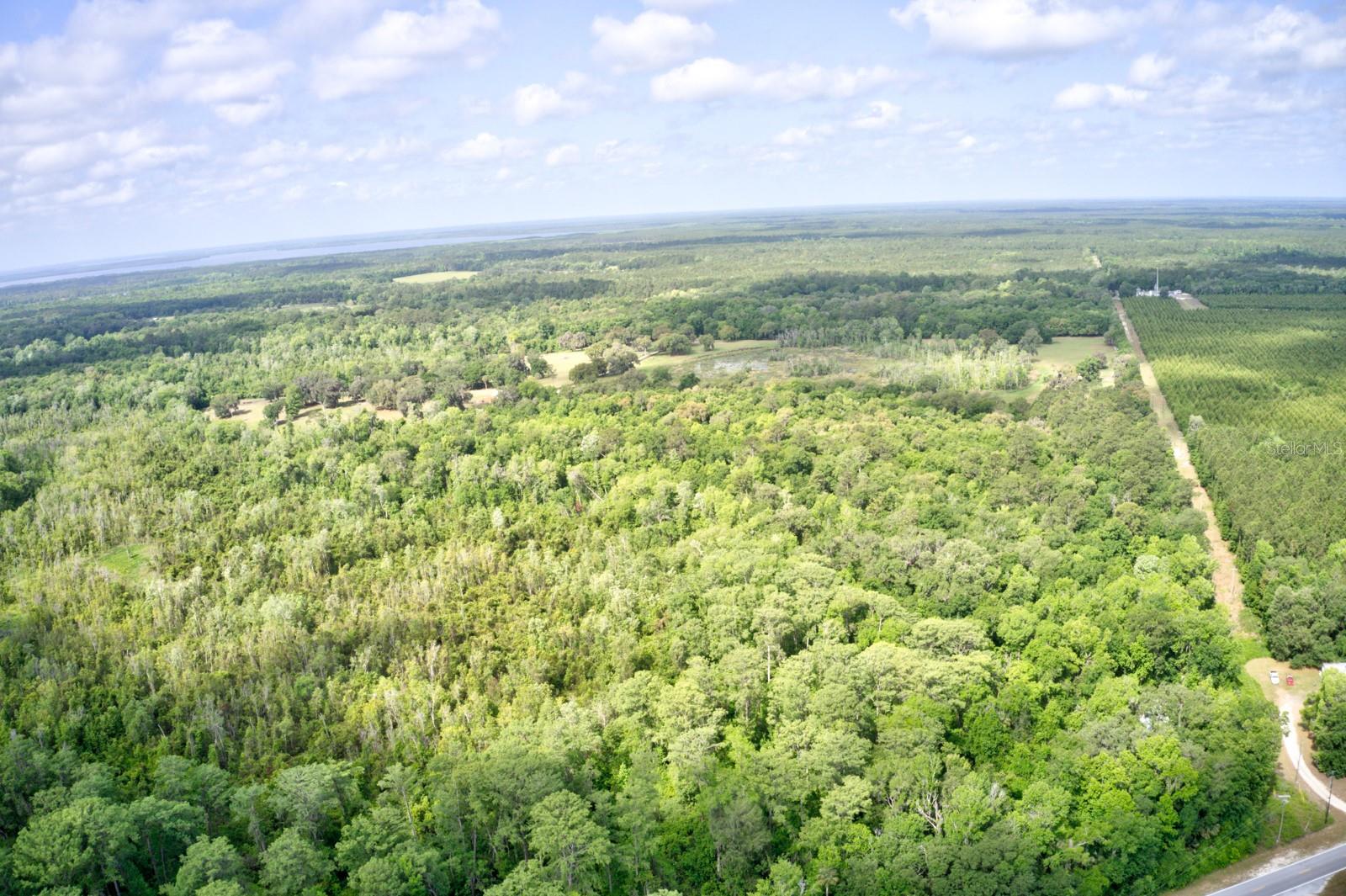 Image 6 of 13 For 8903 225th Drive