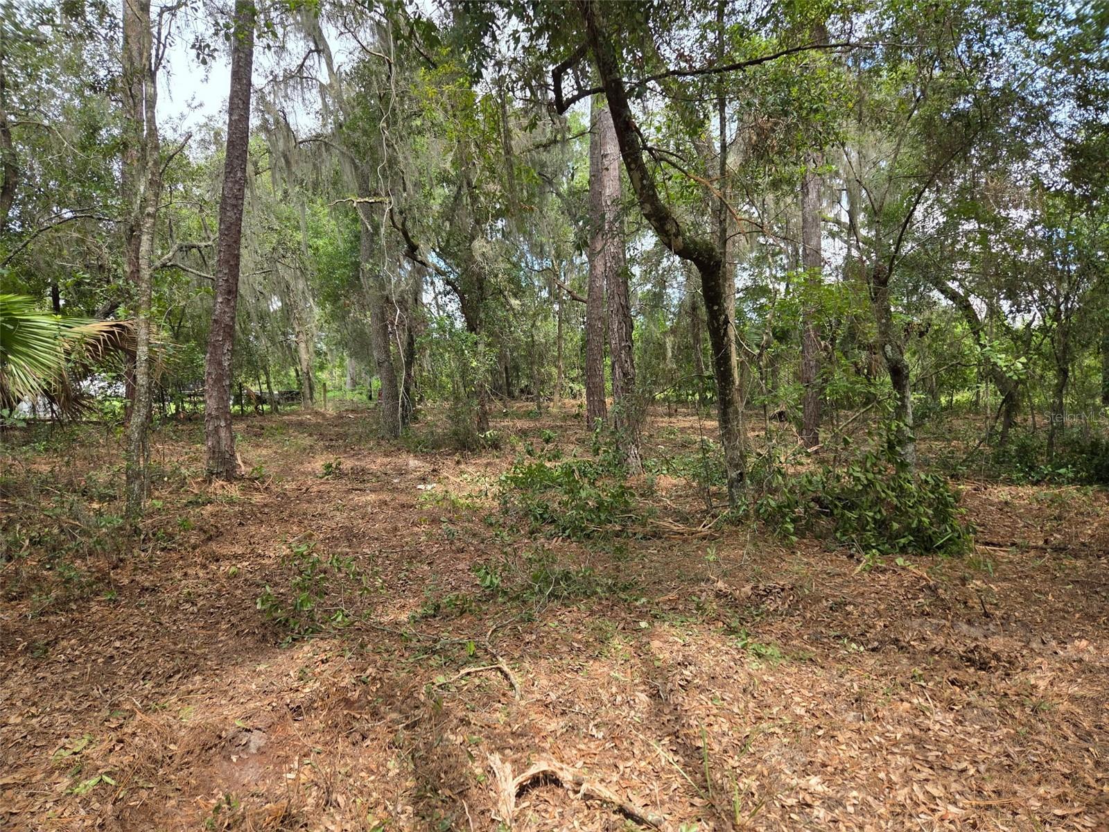 Image 9 of 13 For 8903 225th Drive