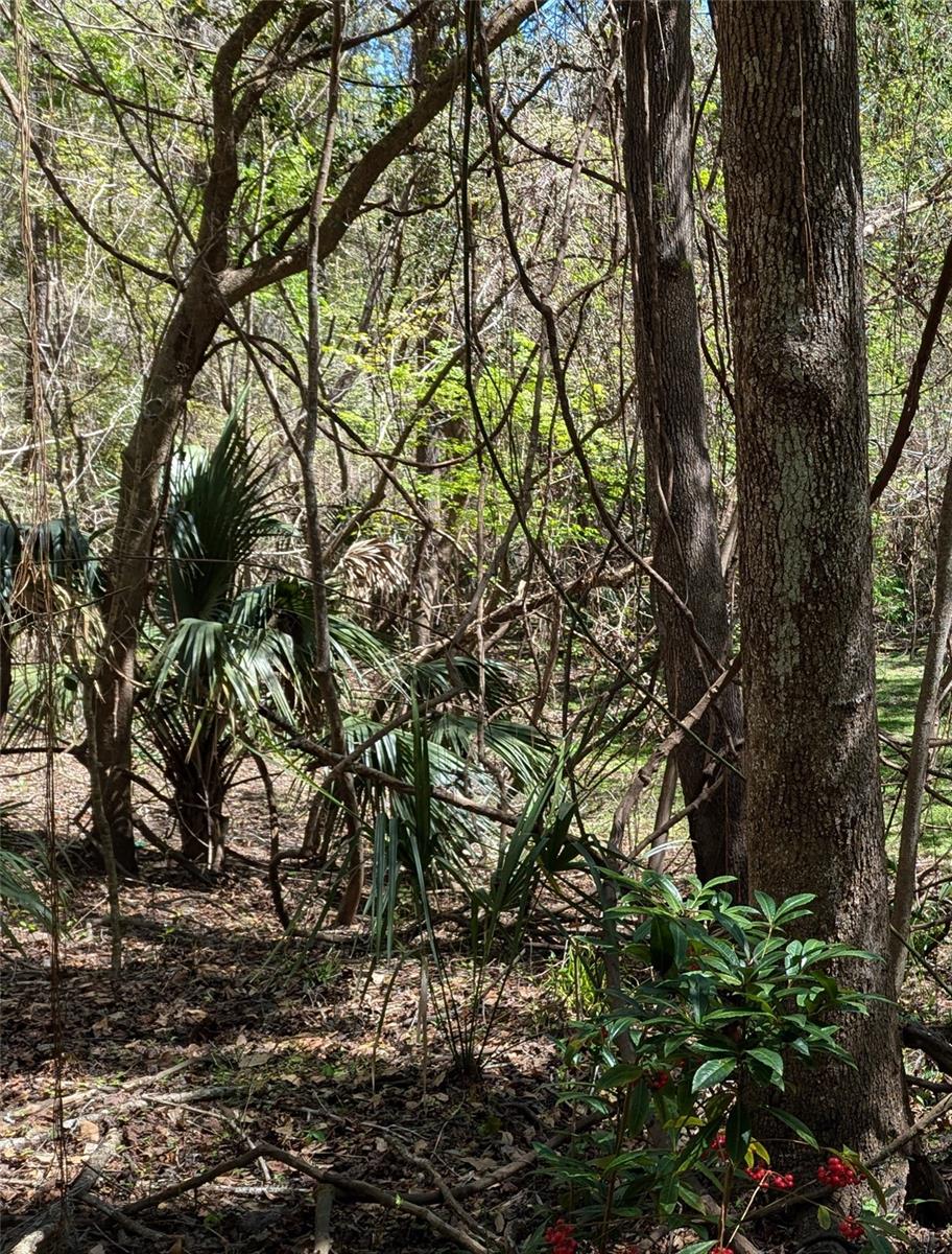 Image 3 of 9 For 00 35th Avenue