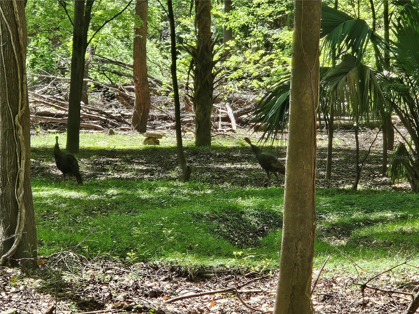 Image 4 of 9 For 00 35th Avenue