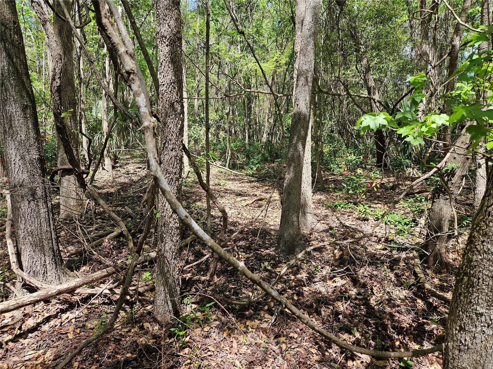 Image 5 of 9 For 00 35th Avenue