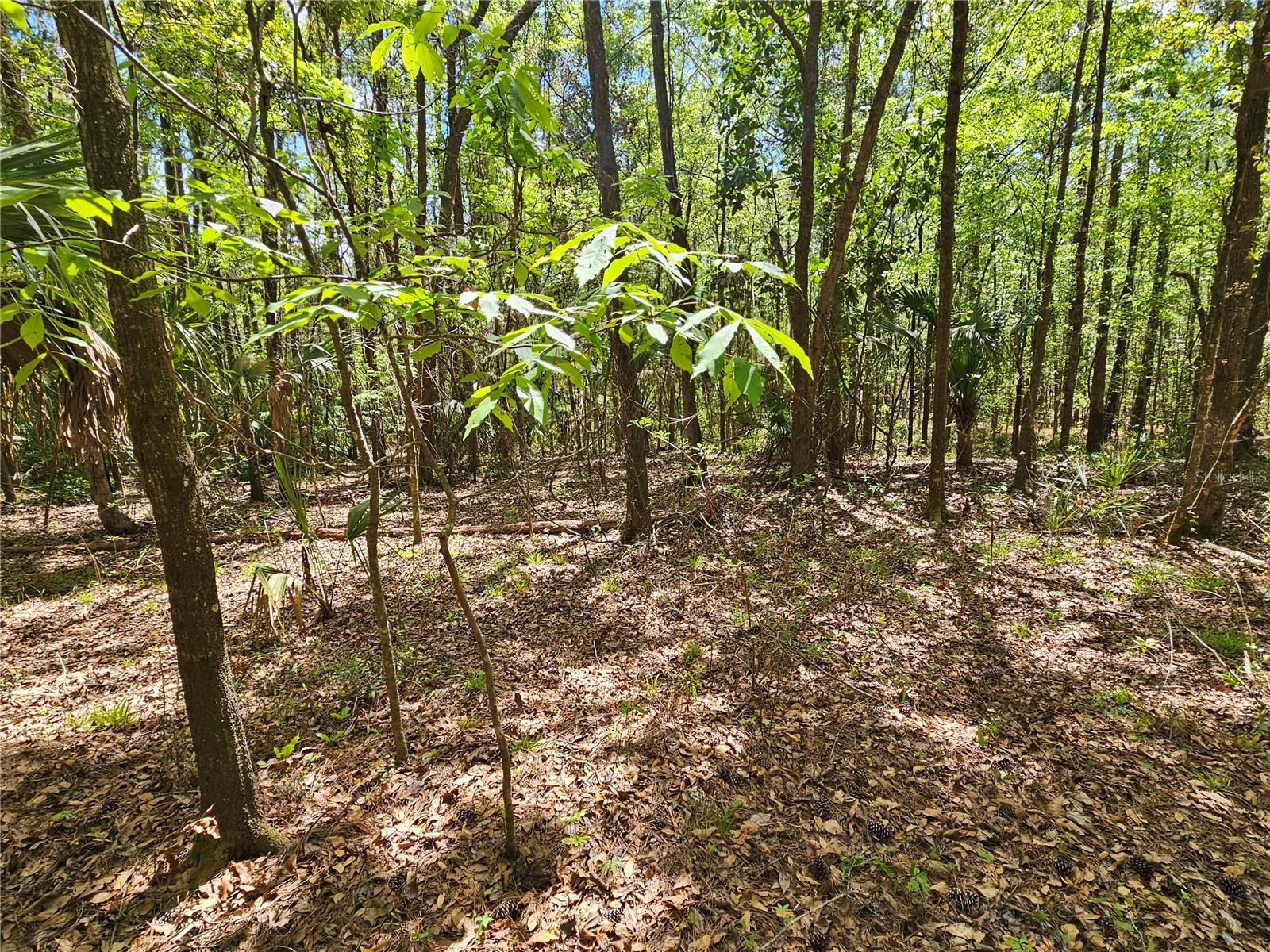 Image 8 of 9 For 00 35th Avenue