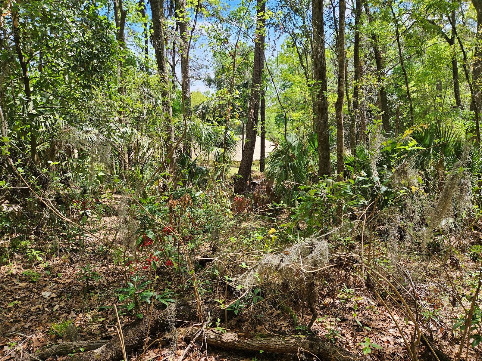 Image 9 of 9 For 00 35th Avenue