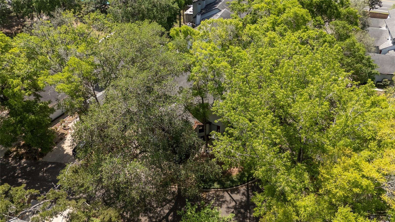 Image 45 of 57 For 914 42nd Terrace