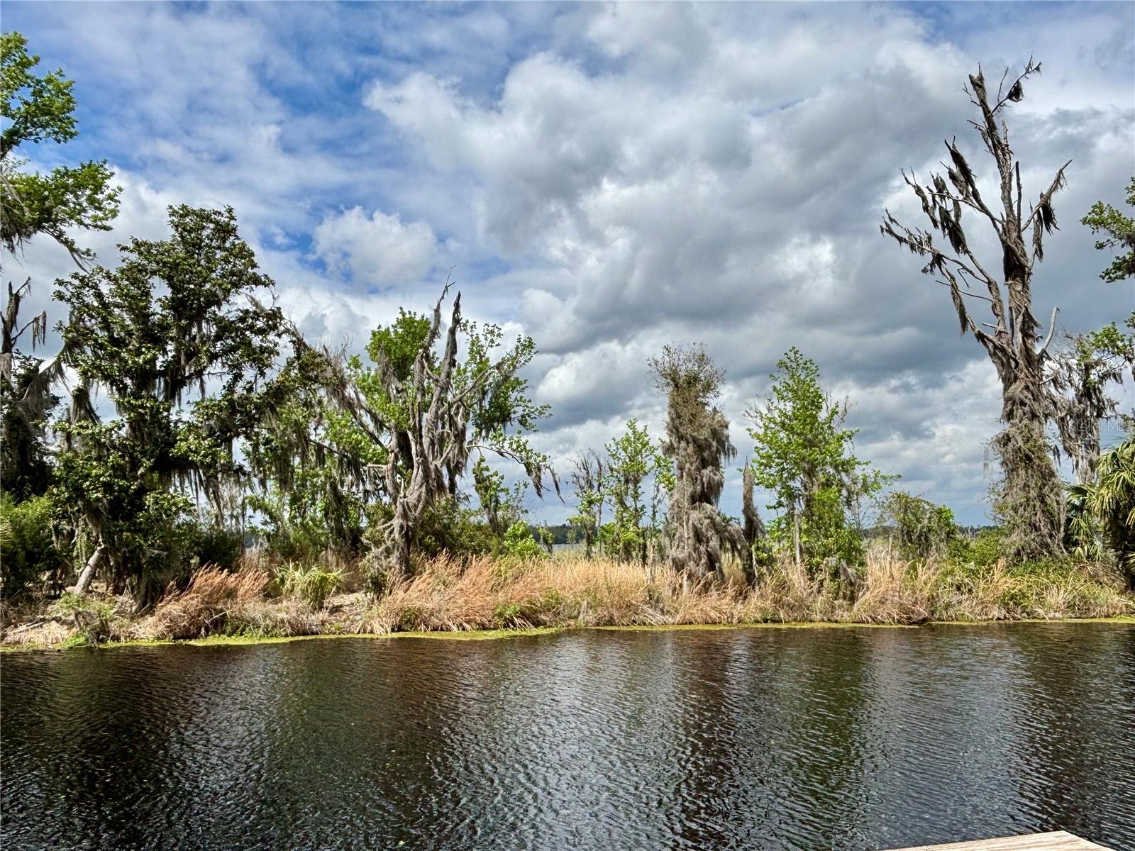 Image 34 of 35 For 216 Little Orange Lake Drive