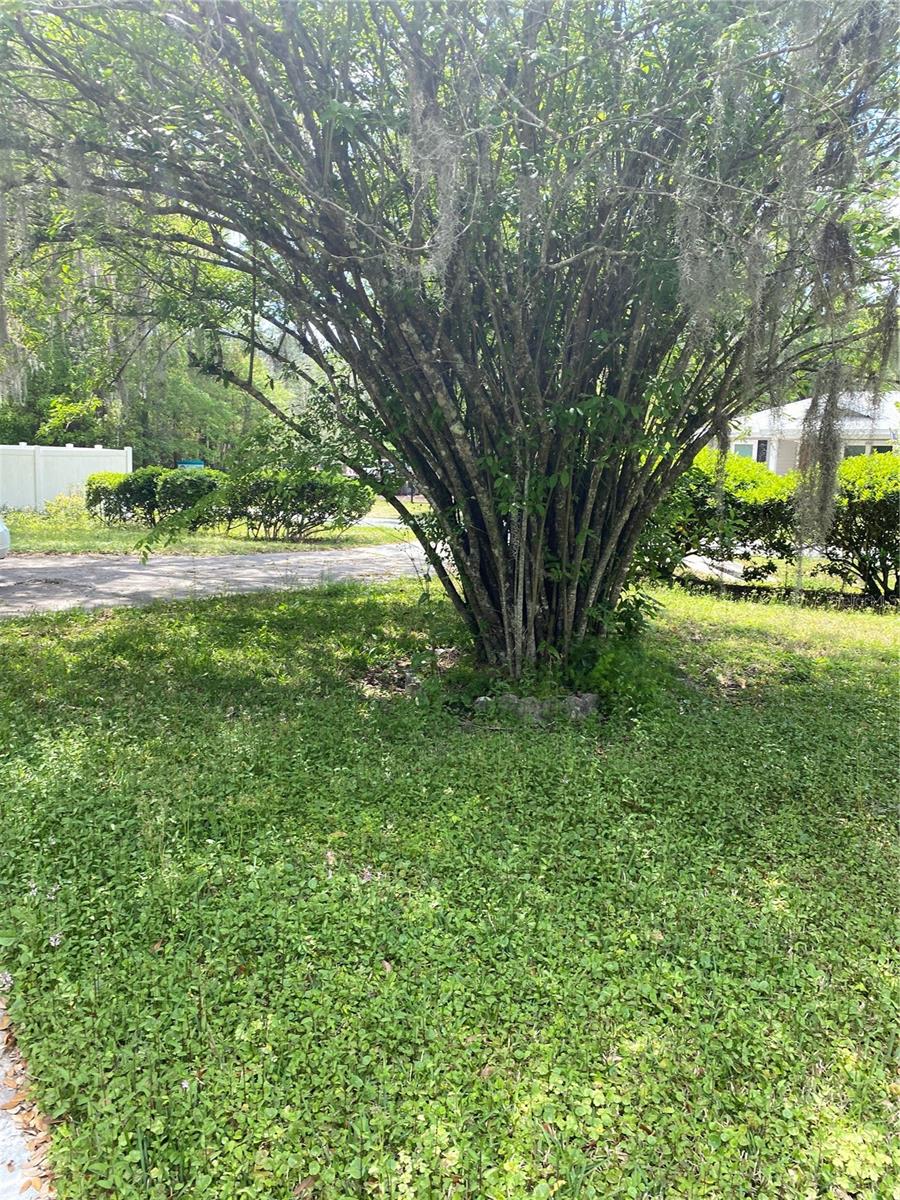 Image 33 of 37 For 625 24th Street
