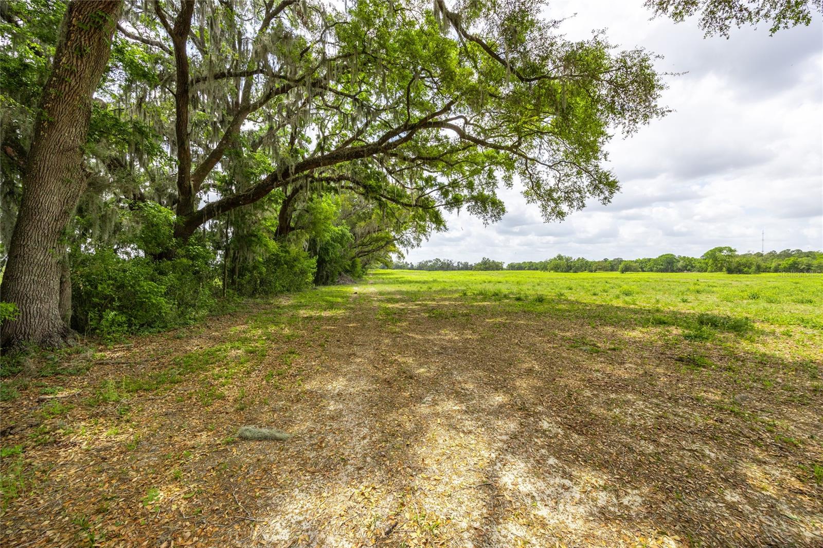 Image 10 of 14 For Lot 3 Tbd 220th Drive