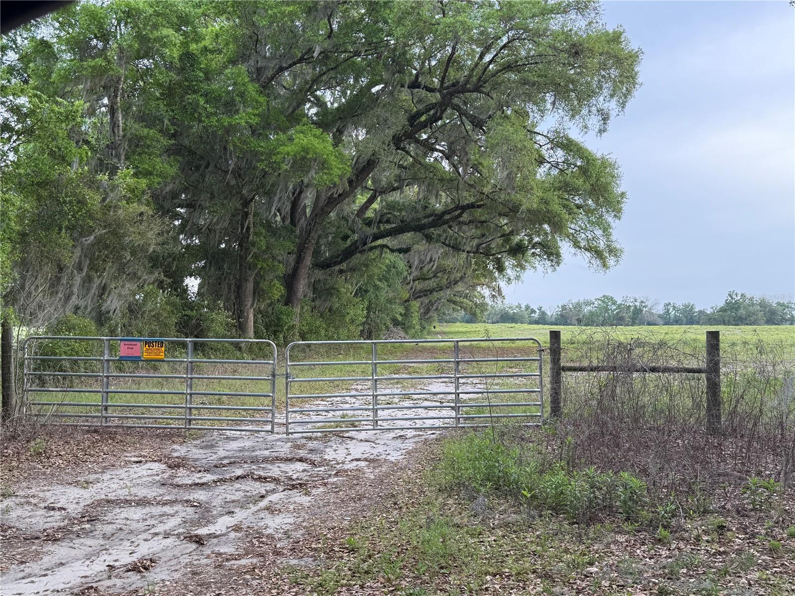 Image 13 of 14 For Lot 3 Tbd 220th Drive
