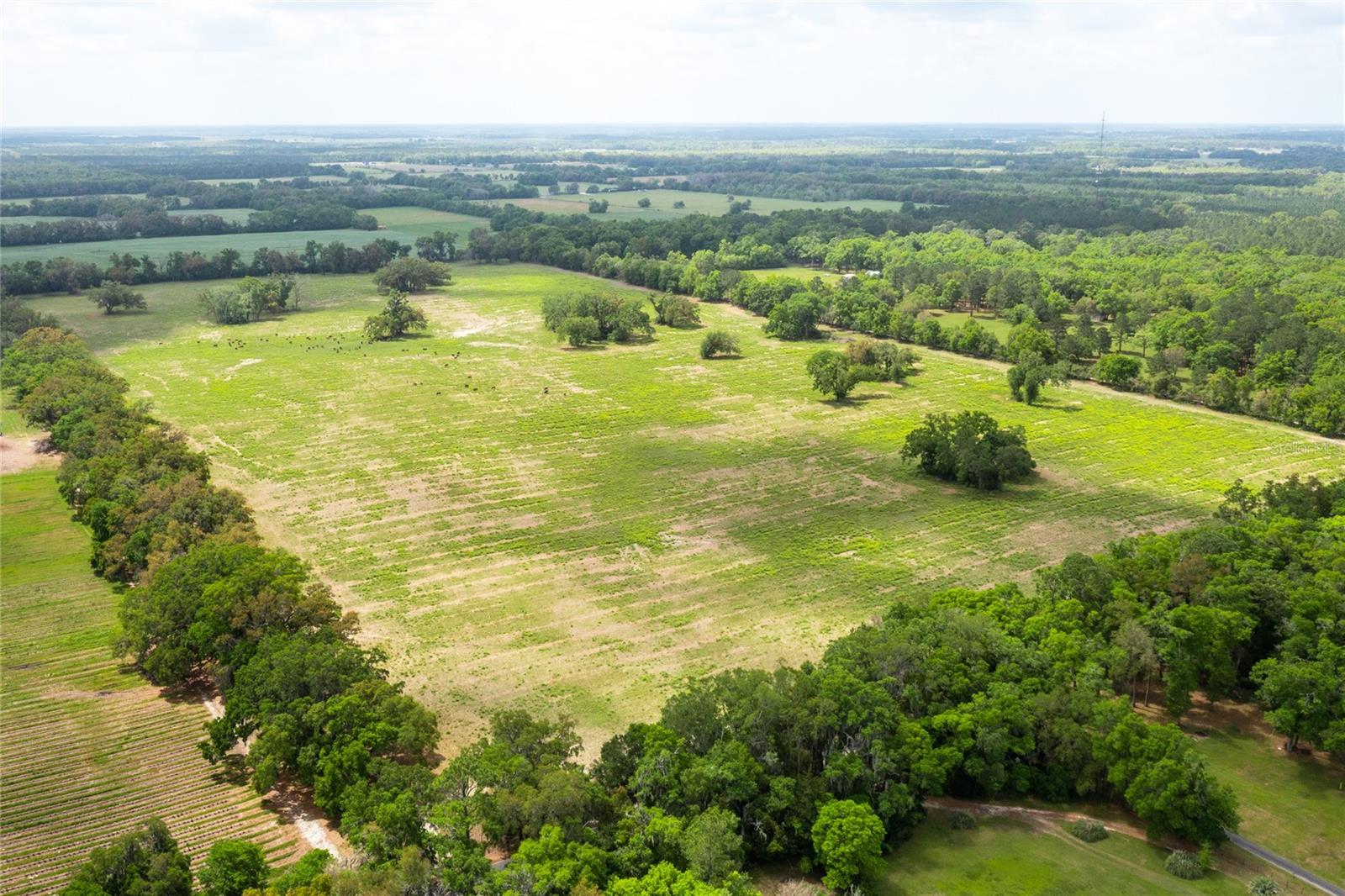 Image 8 of 14 For Lot 3 Tbd 220th Drive