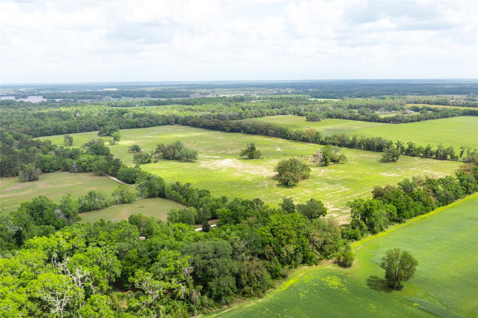 Image 9 of 14 For Lot 3 Tbd 220th Drive