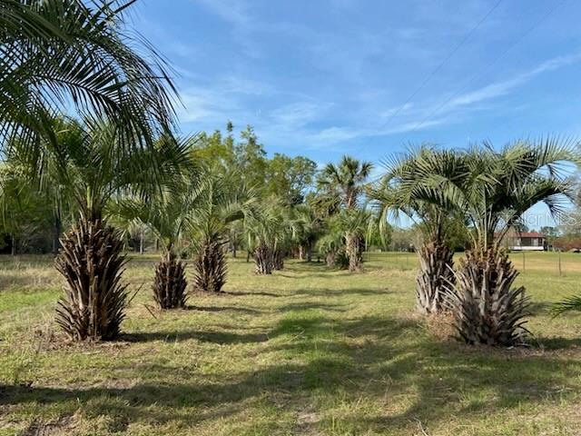 Details for 23206 102nd Avenue, ALACHUA, FL 32615