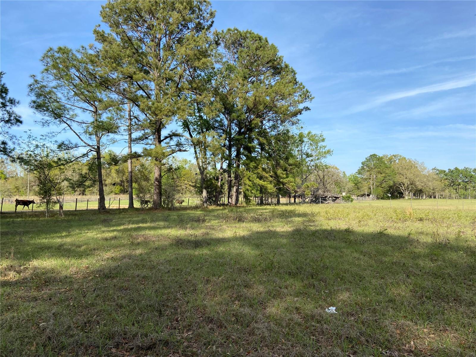 Image 16 of 17 For 23206 102nd Avenue