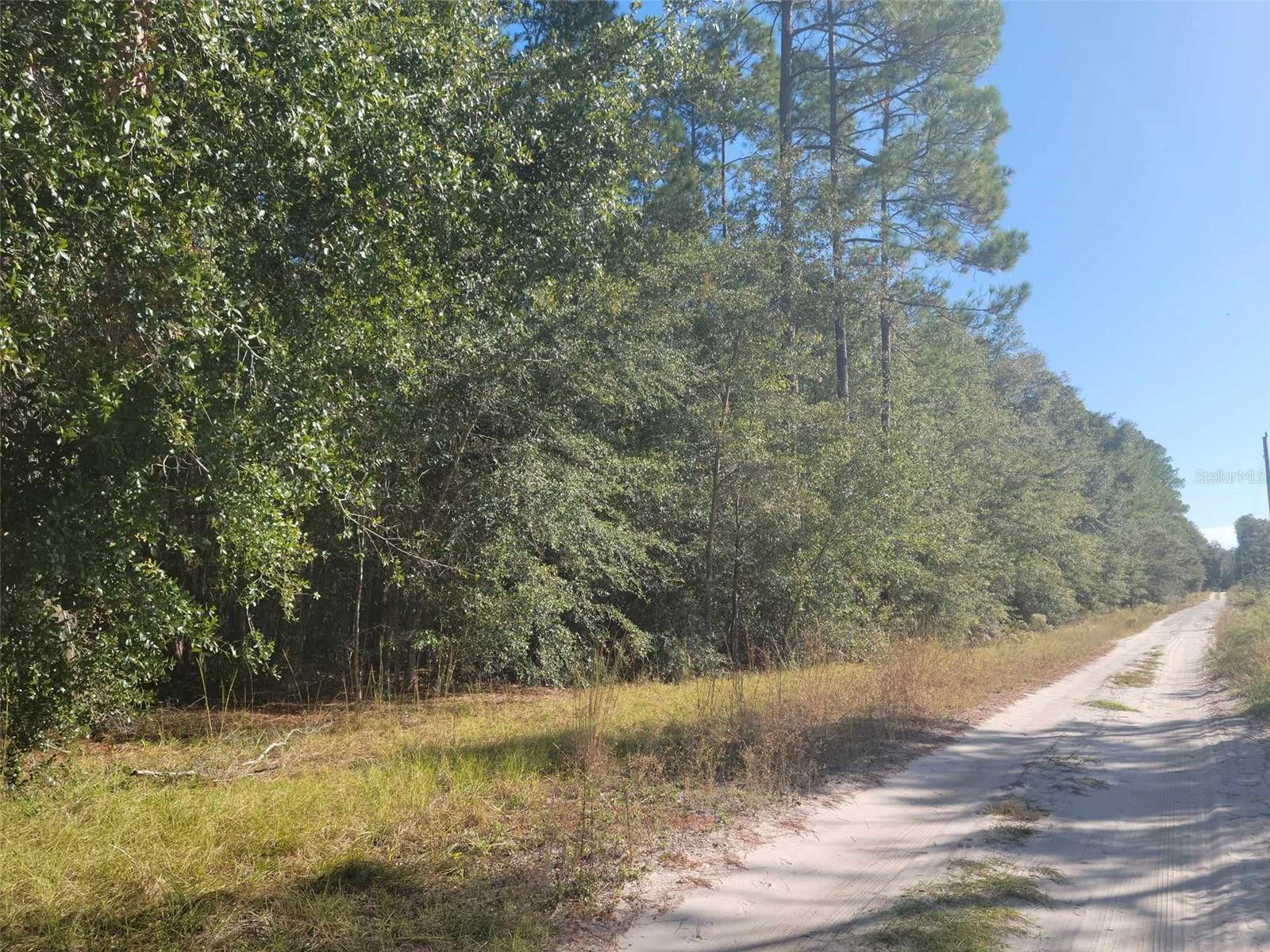Details for Sw 61st Place, NEWBERRY, FL 32669
