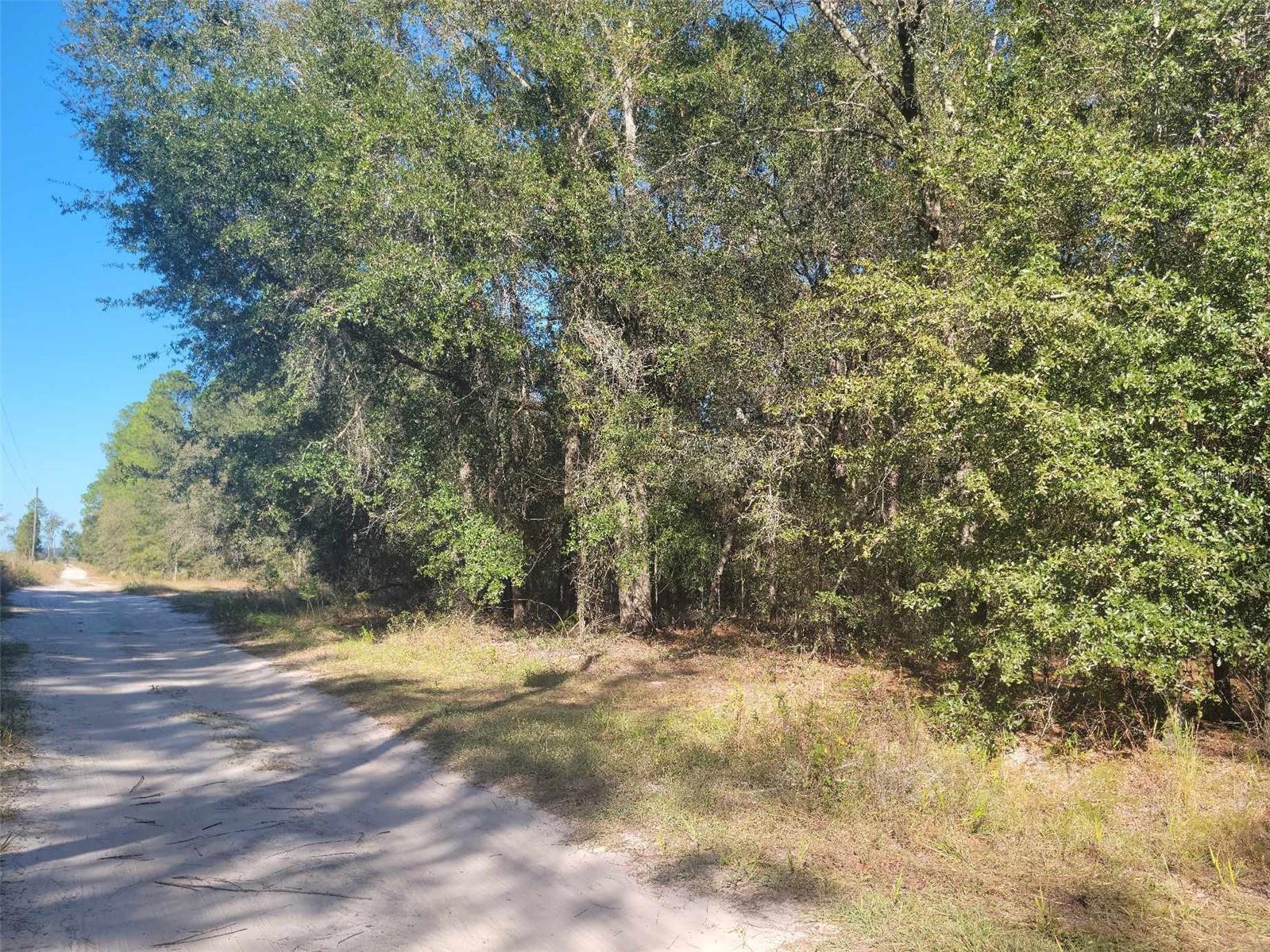 Image 2 of 2 For Sw 61st Place
