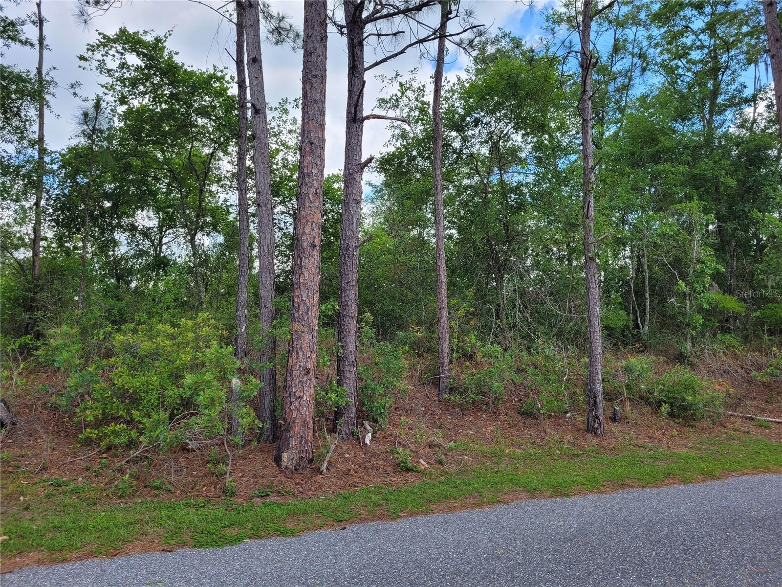 Details for Tbd County Road 18, FORT WHITE, FL 32038