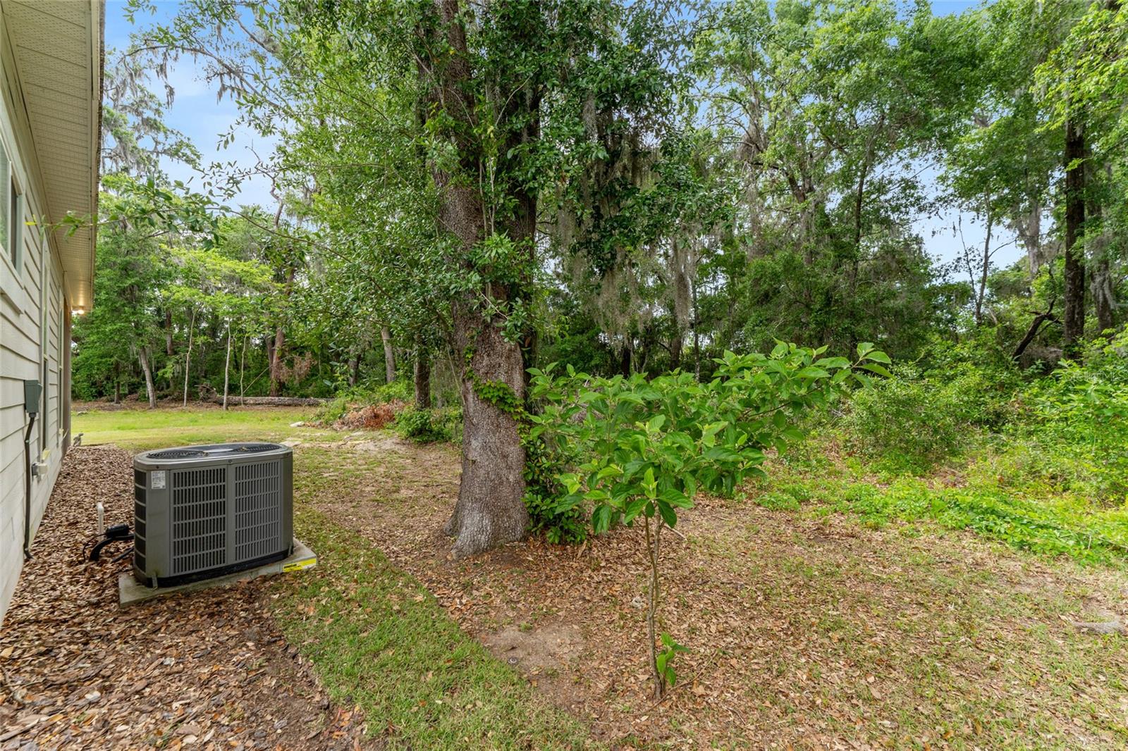 Image 56 of 66 For 1272 132nd Boulevard