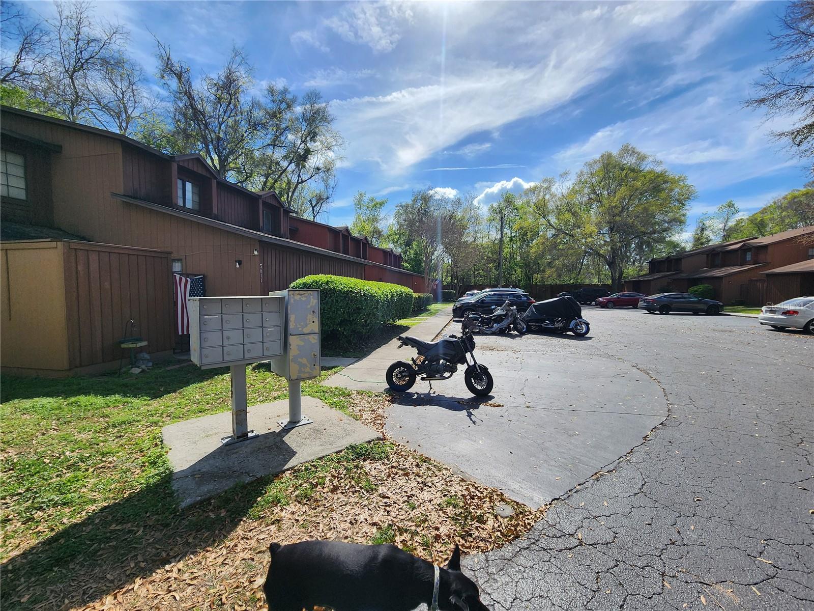Image 41 of 48 For Address Not Provided