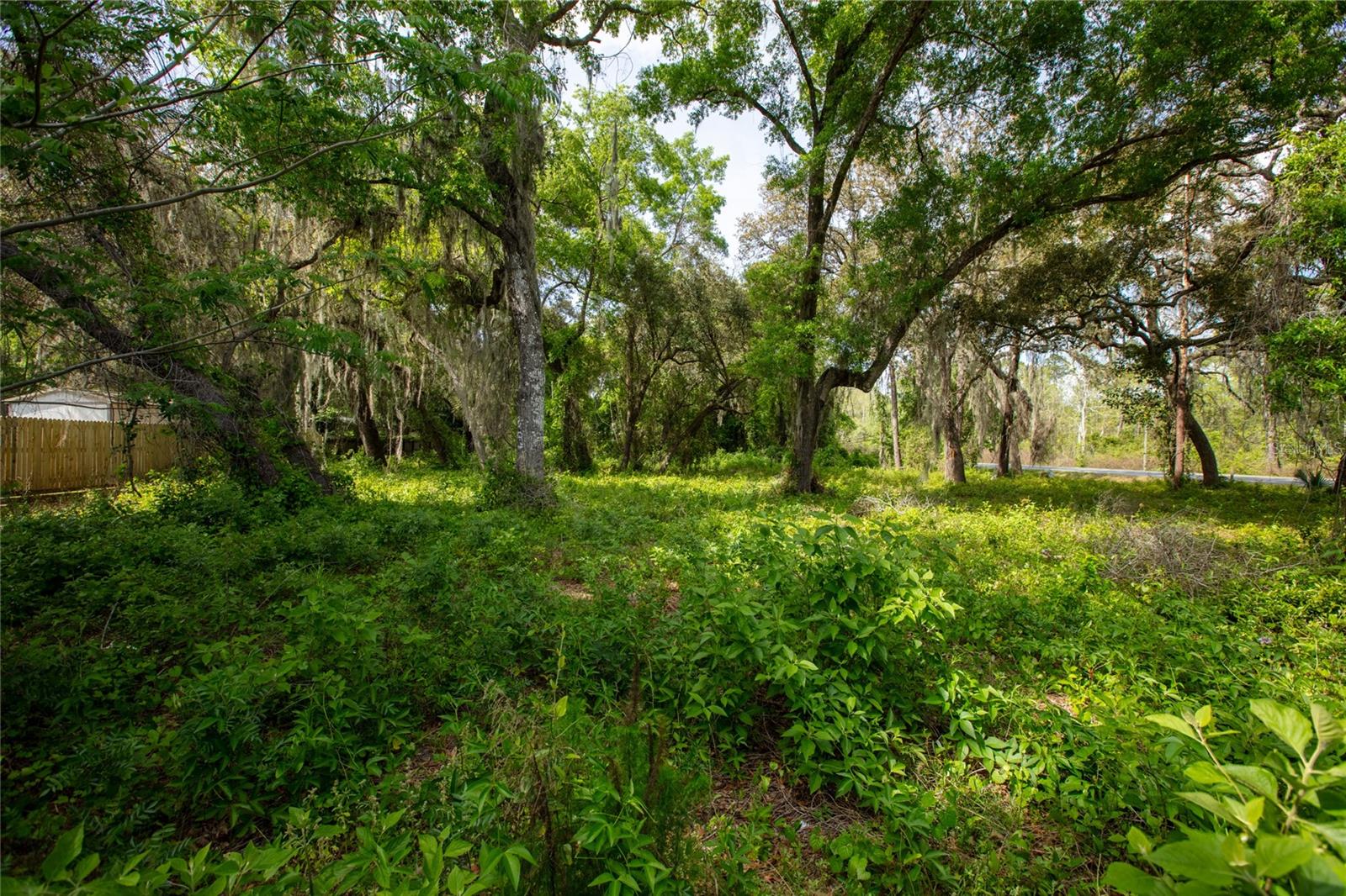 Image 21 of 24 For 8786 & 8782 State Road 21