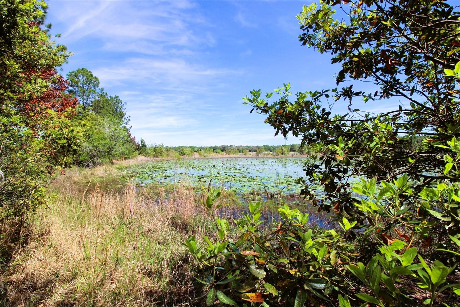 Image 49 of 51 For 736 State Road 26