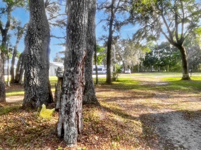 Image 5 of 18 For 7531 165th Street