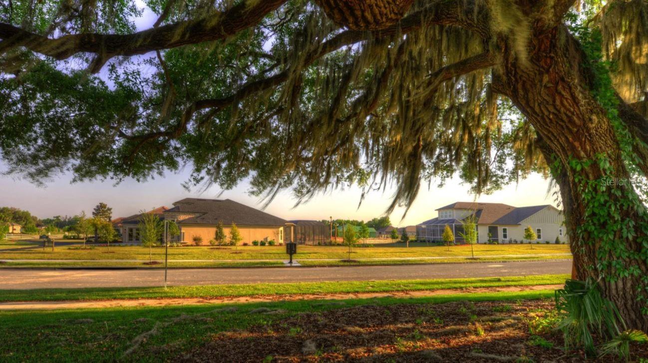 Image 2 of 6 For 12032 31st Road