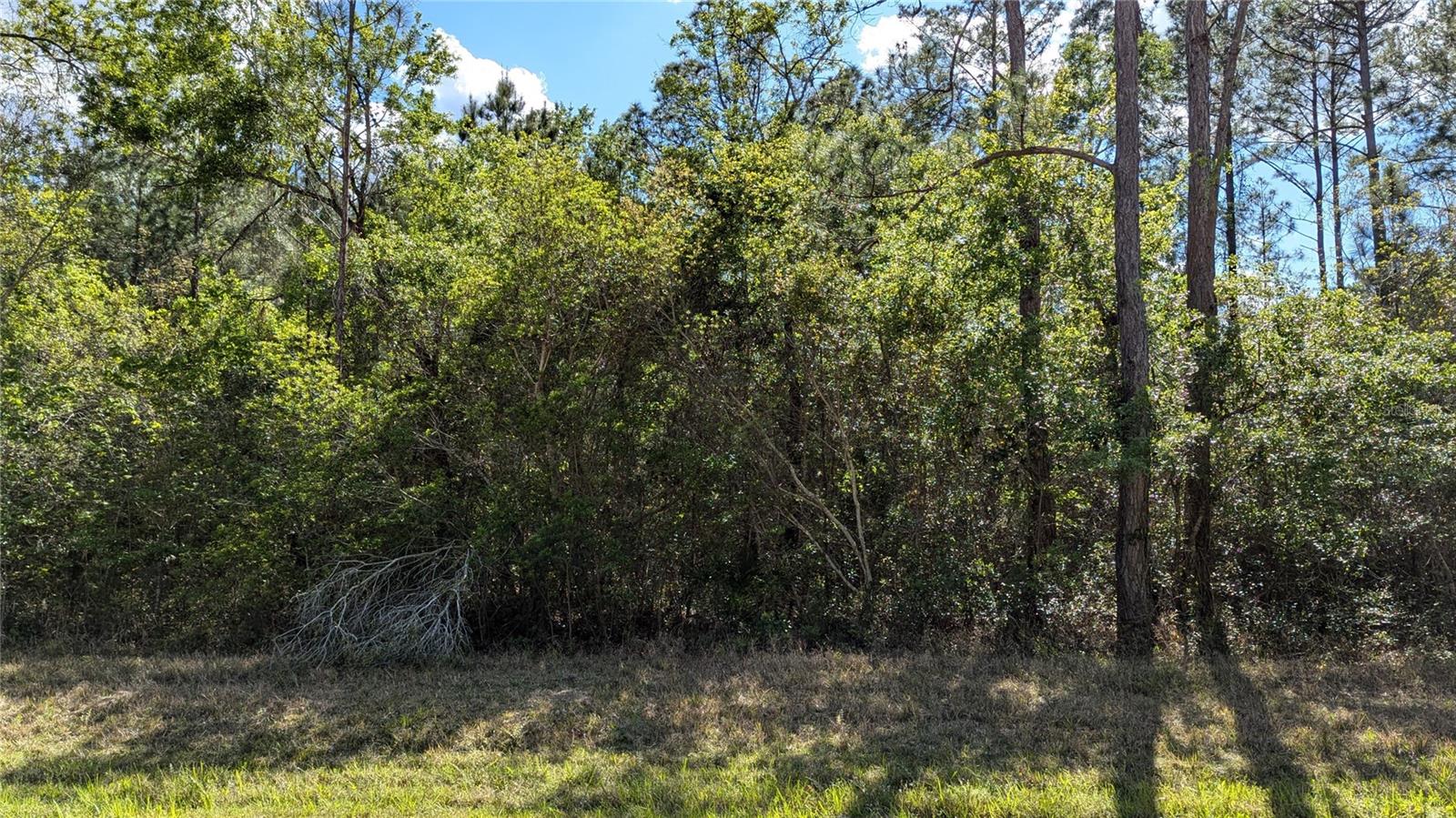 Details for 00 108th Place, WALDO, FL 32694