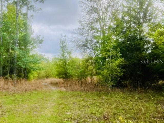 Image 5 of 9 For 998th Avenue