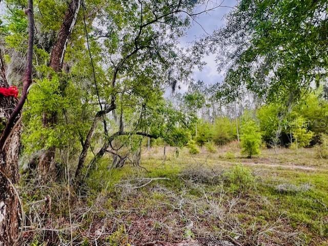 Image 8 of 9 For 998th Avenue