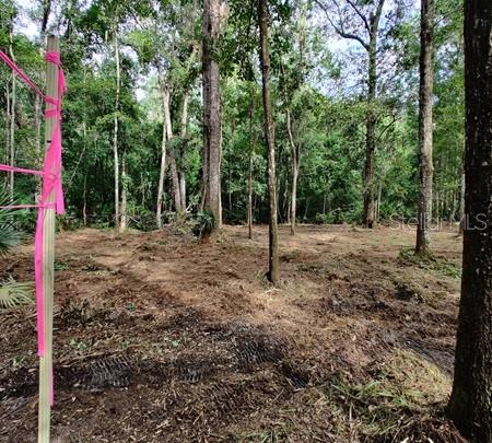 Image 2 of 4 For 5212 19th Street