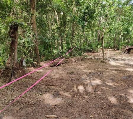 Image 3 of 4 For 5212 19th Street