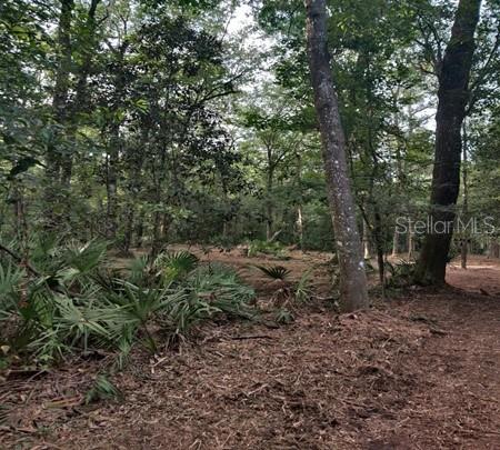 Image 4 of 4 For 5212 19th Street