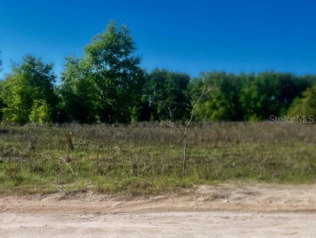 Image 2 of 10 For  98th Lane 