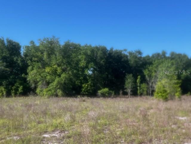 Image 6 of 10 For  98th Lane 