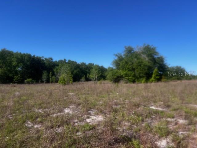Image 7 of 10 For  98th Lane 