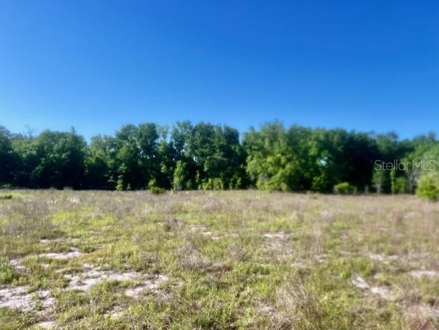 Image 8 of 10 For  98th Lane 