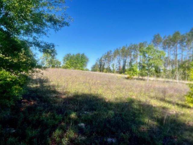Image 9 of 10 For  98th Lane 