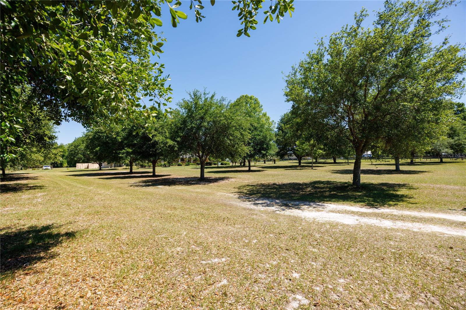 Image 44 of 69 For 14681 232nd Street