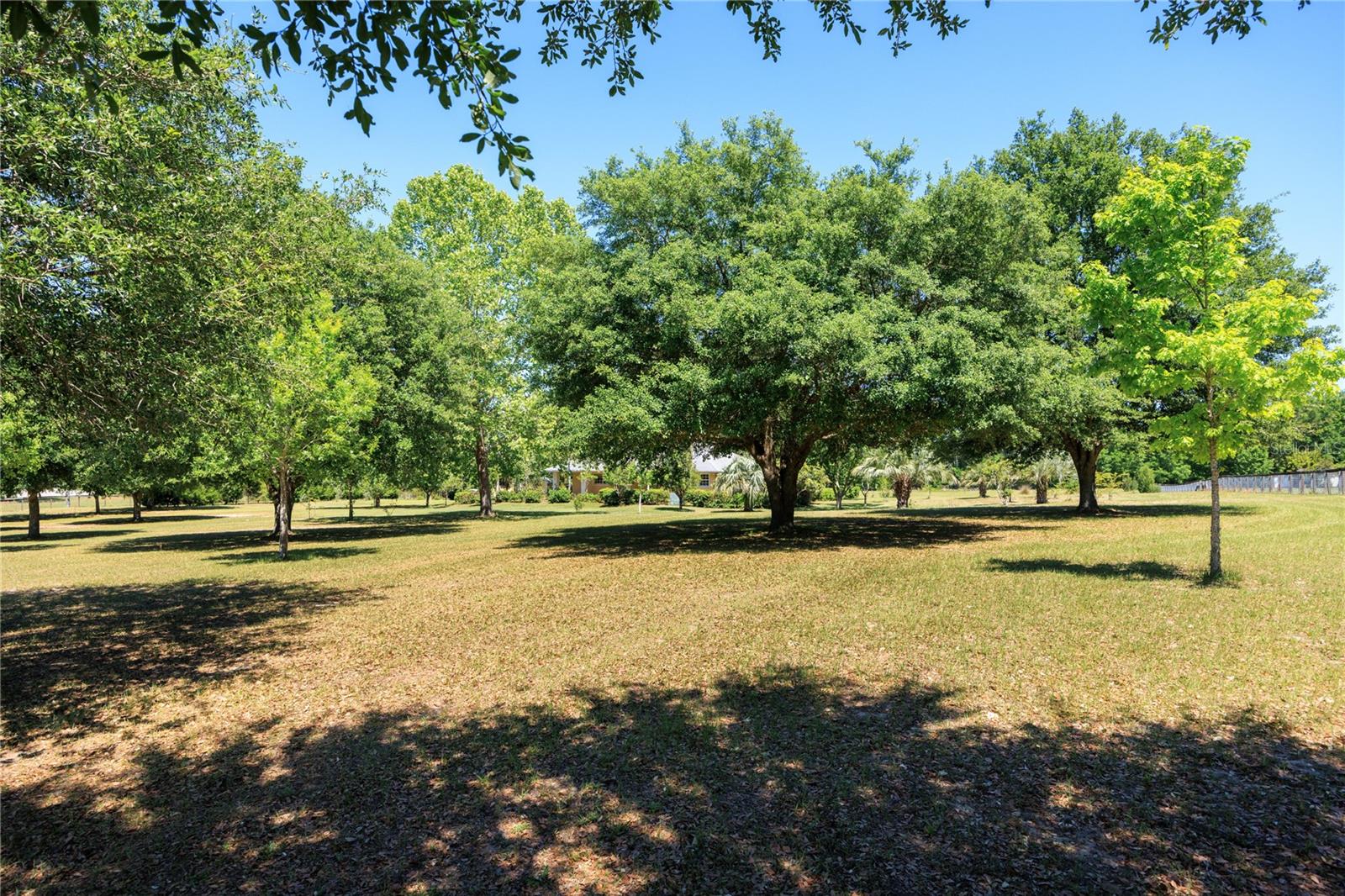 Image 46 of 69 For 14681 232nd Street
