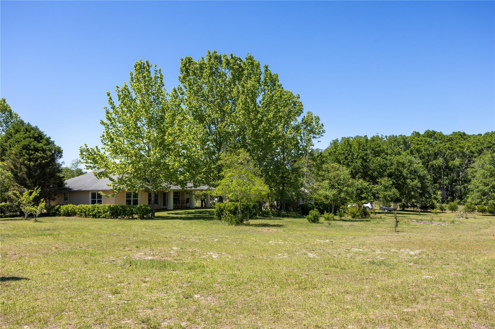 Image 51 of 69 For 14681 232nd Street