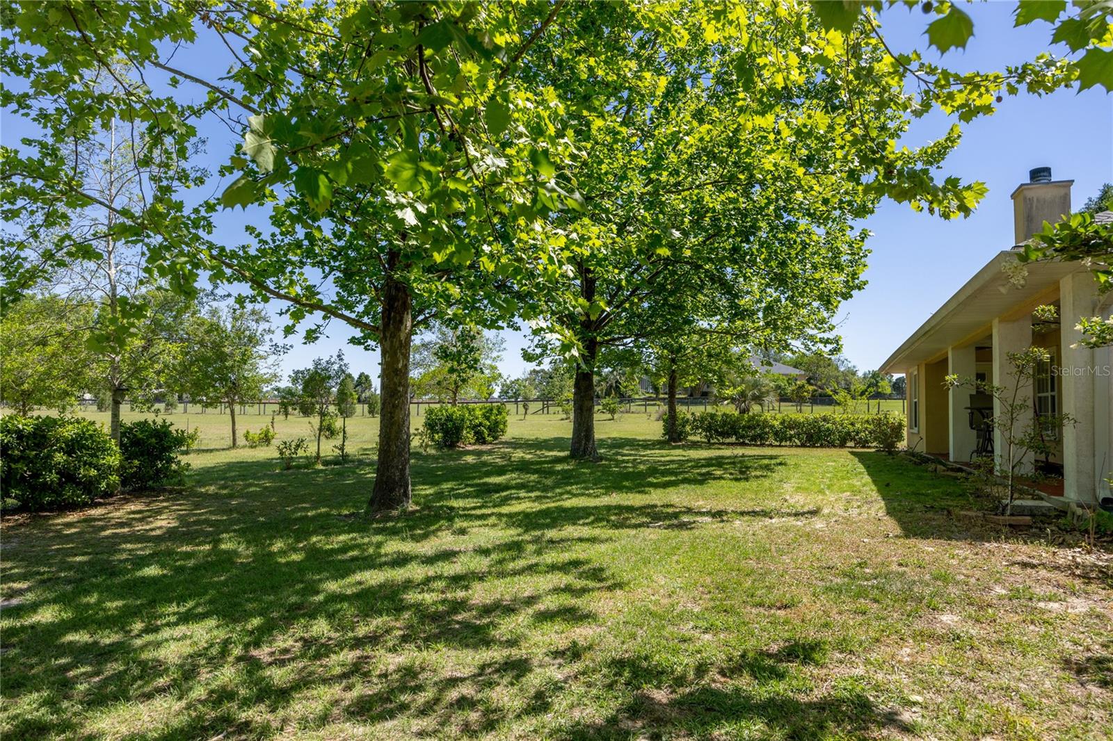 Image 55 of 69 For 14681 232nd Street