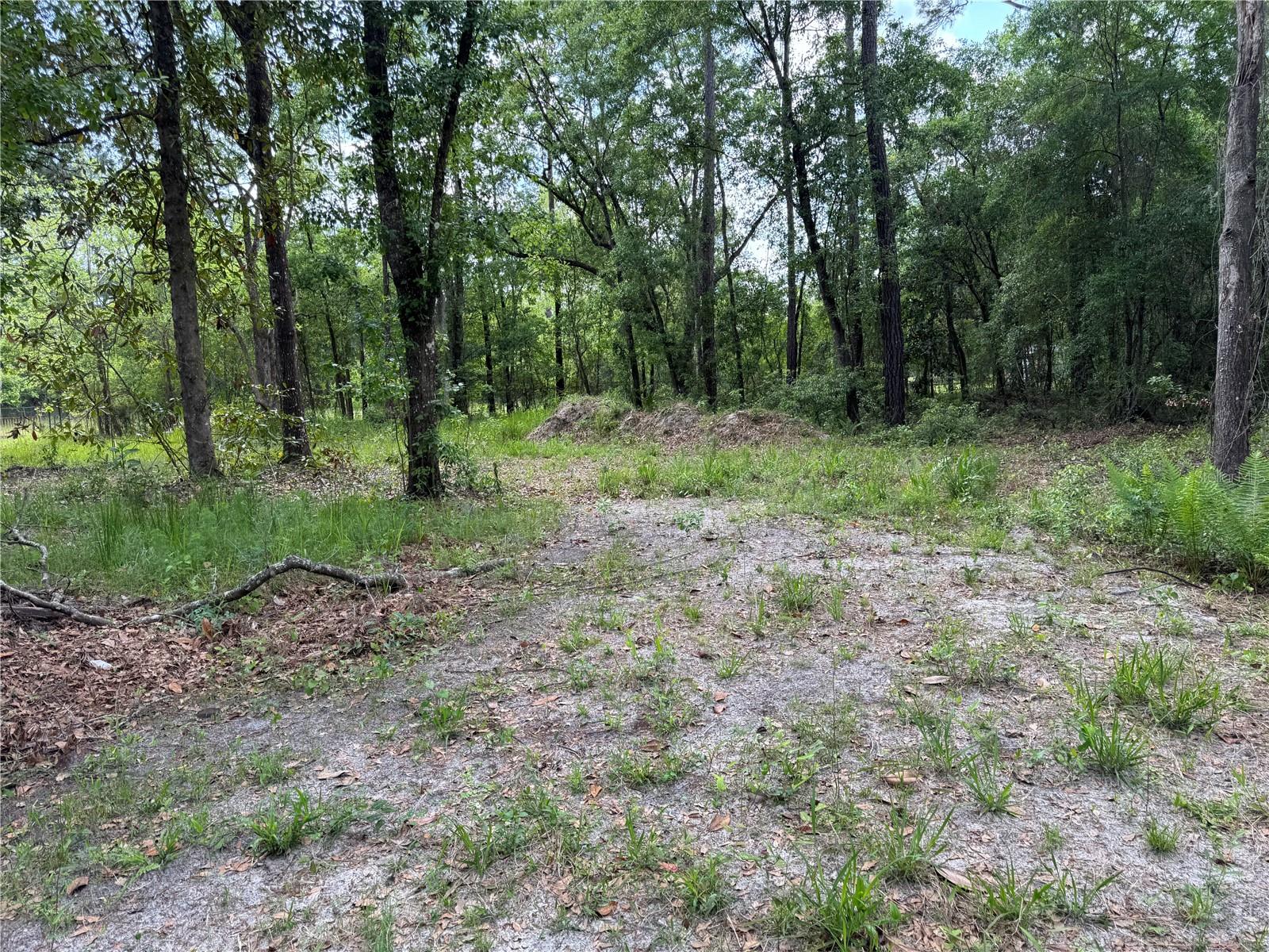 Image 6 of 37 For 15259 143rd Terrace