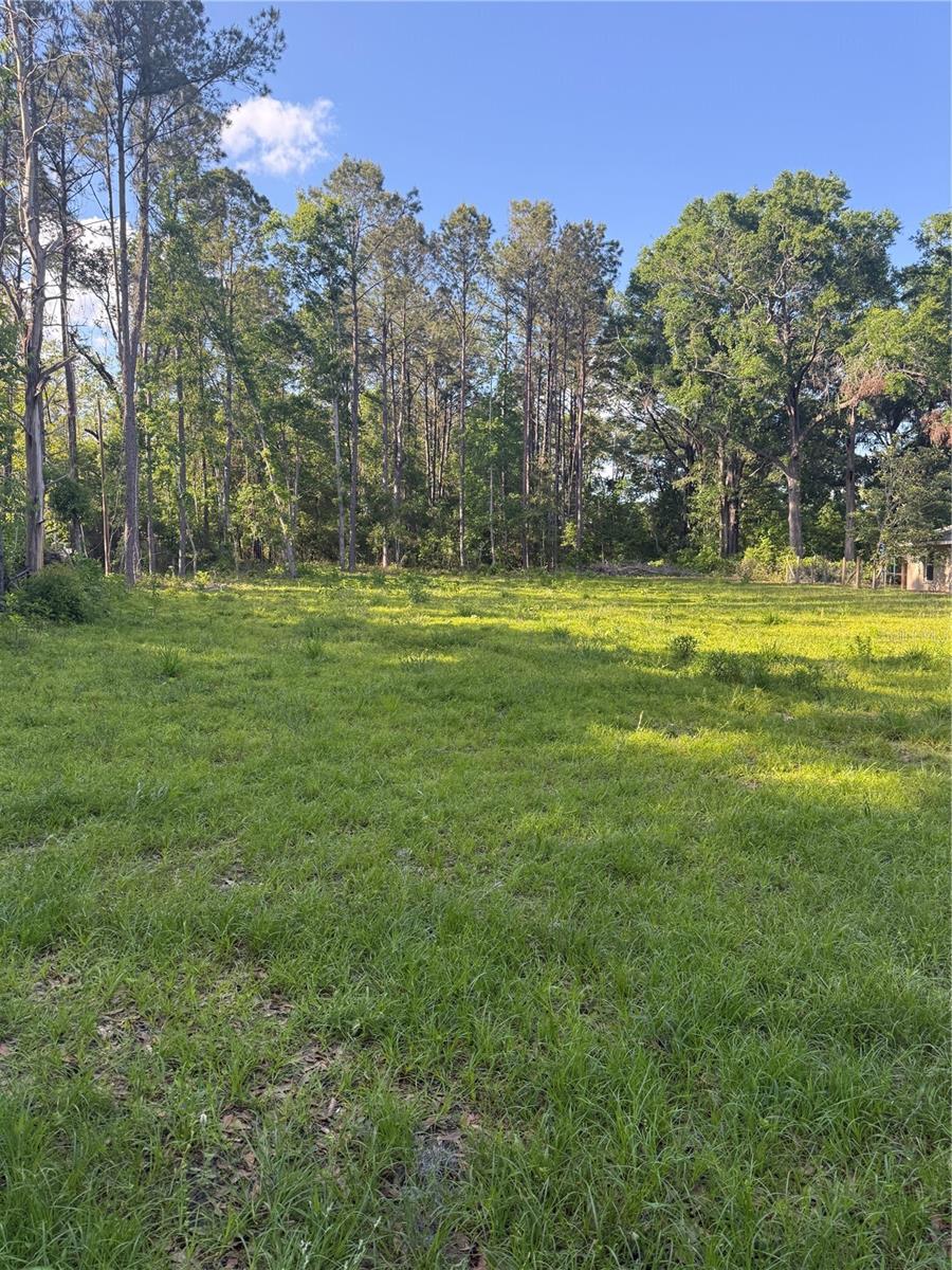 Details for Unassigned Nw 164th Pl, ALACHUA, FL 32615