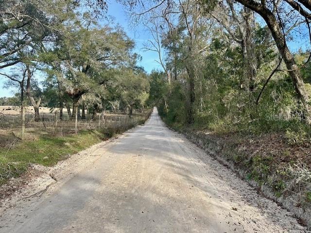 Image 10 of 15 For  85th Street 